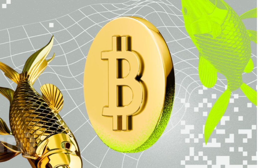 Bitcoin vs. Gold: Which Is the Best Investment In 2025?