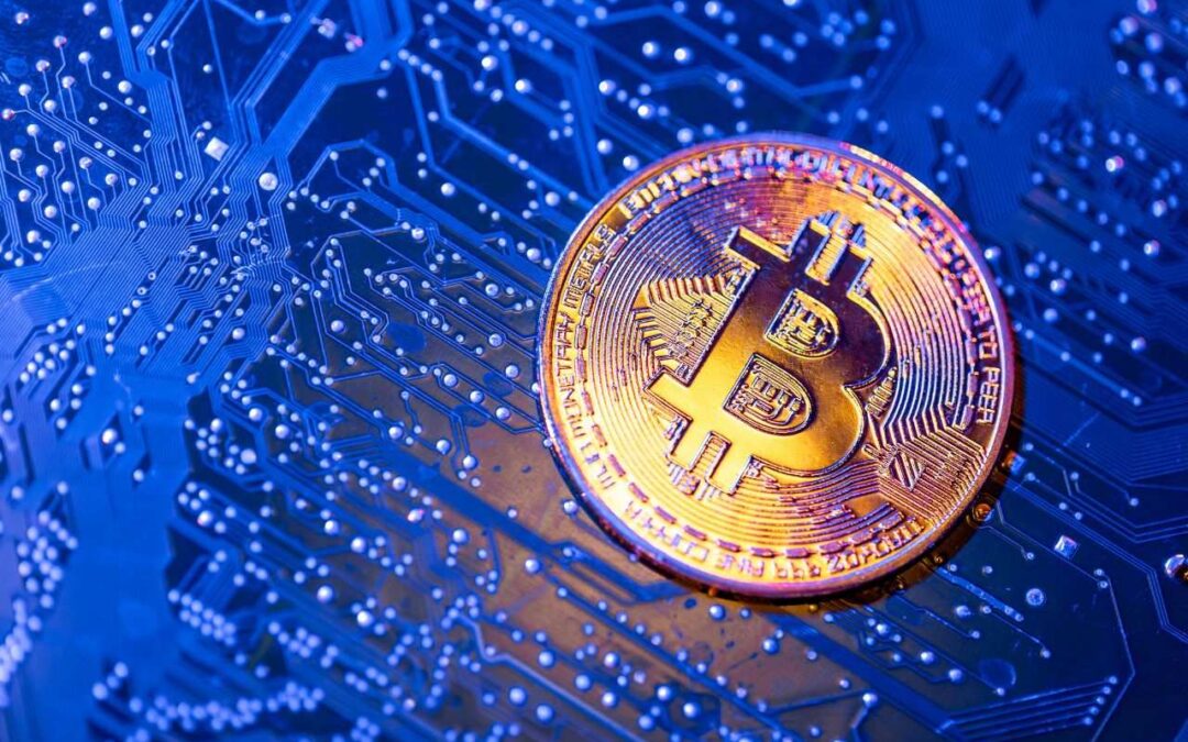 Key Features Every White Label Exchange Crypto Platform Should Have