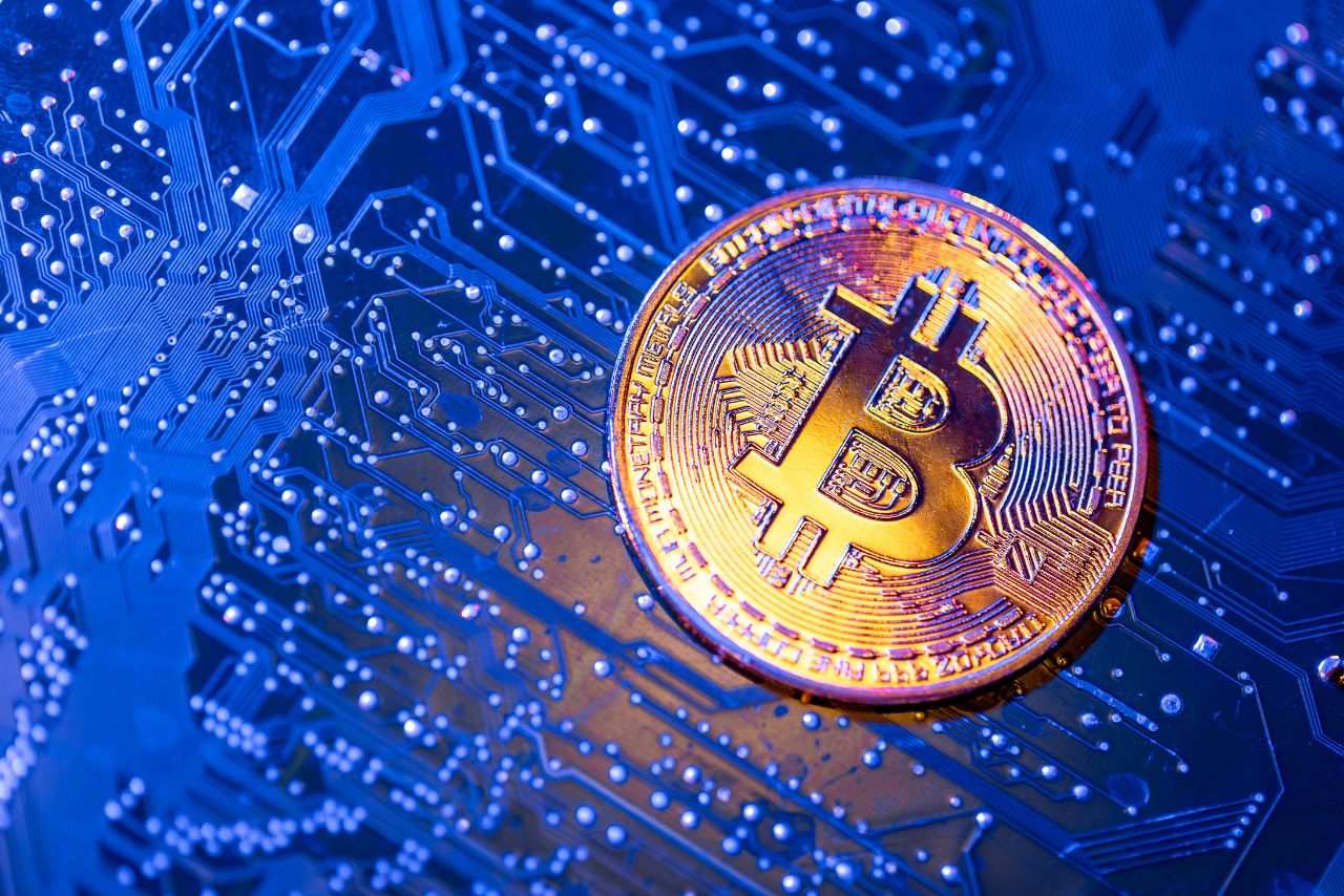 Key Features Every White Label Exchange Crypto Platform Should Have - Trade  Brains