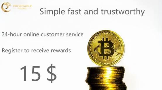 ProfitableMining
