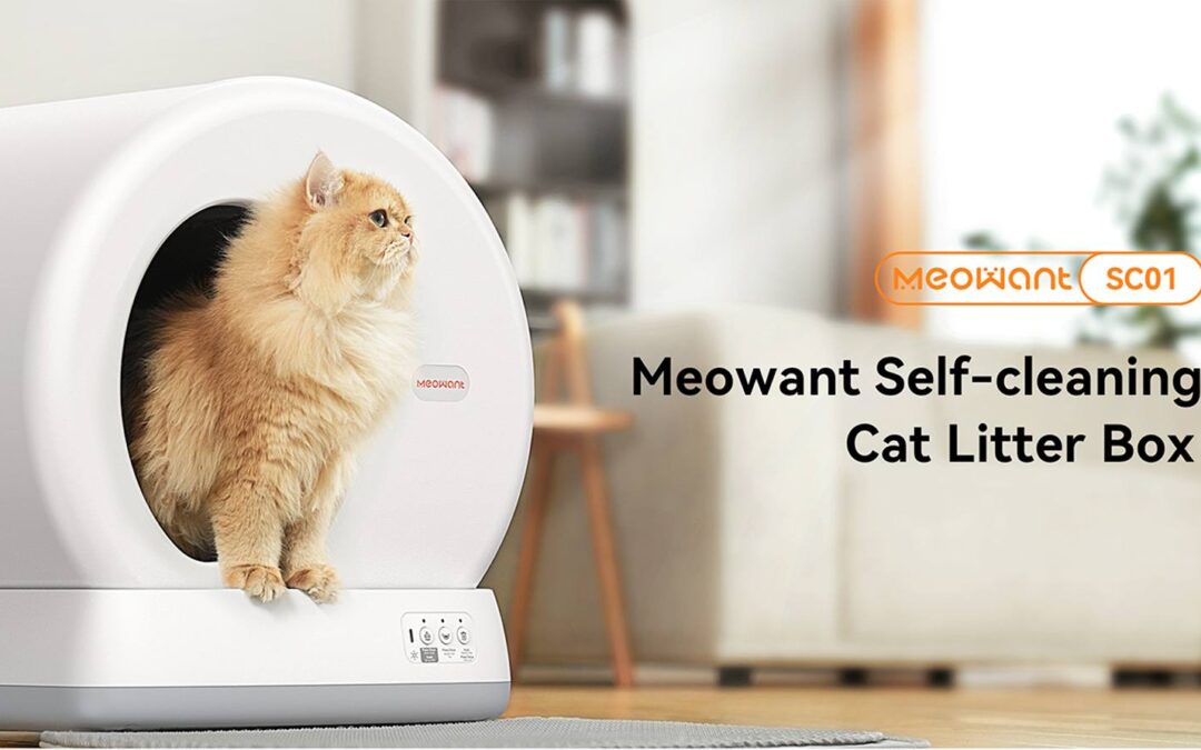 Why Monitor Cat Health with Smart Litter Box Habits