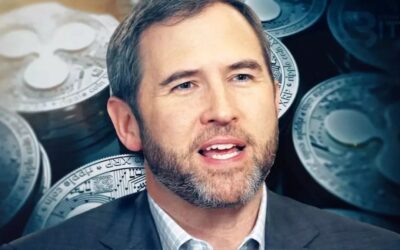 Ripple CEO Advocates for Equal Banking Rights for Crypto Firms