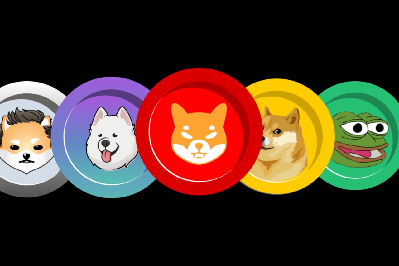 Meme Coins as Investments: Should Indian Investors Avoid Them? - Trade  Brains Crypto