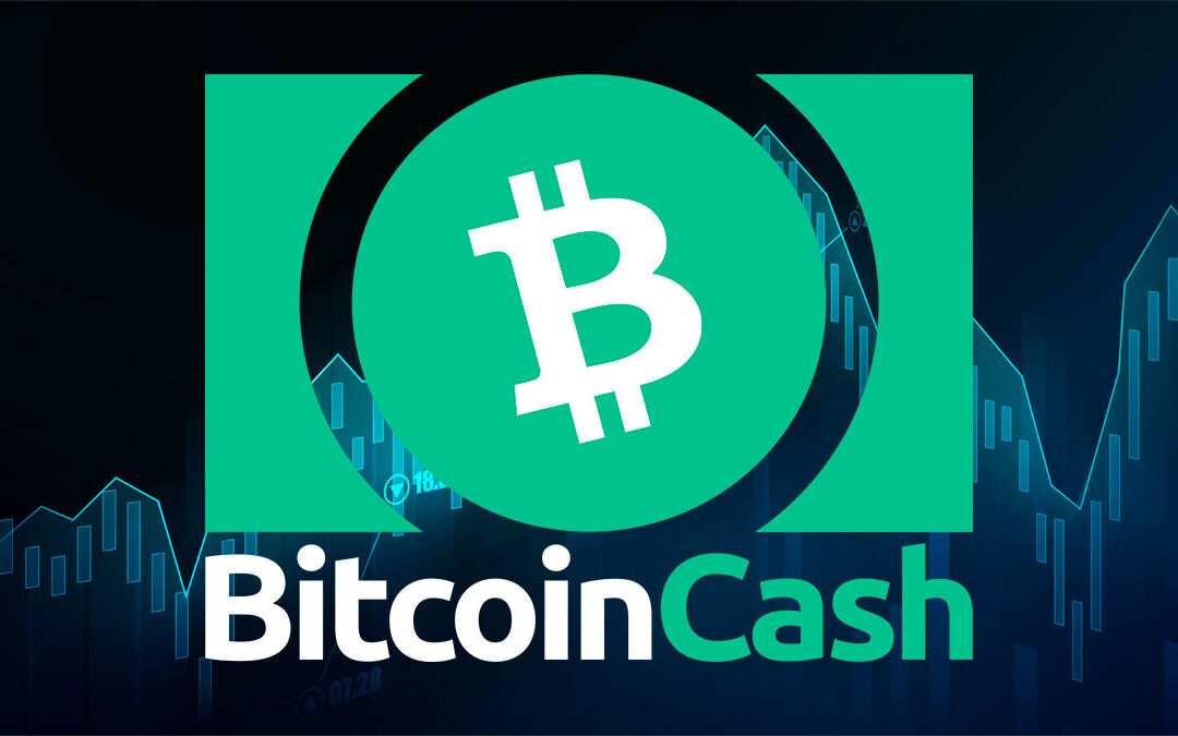Bitcoin Cash Surges 40% in 2025, Crushing 10+ Major Layer-1 Rivals!