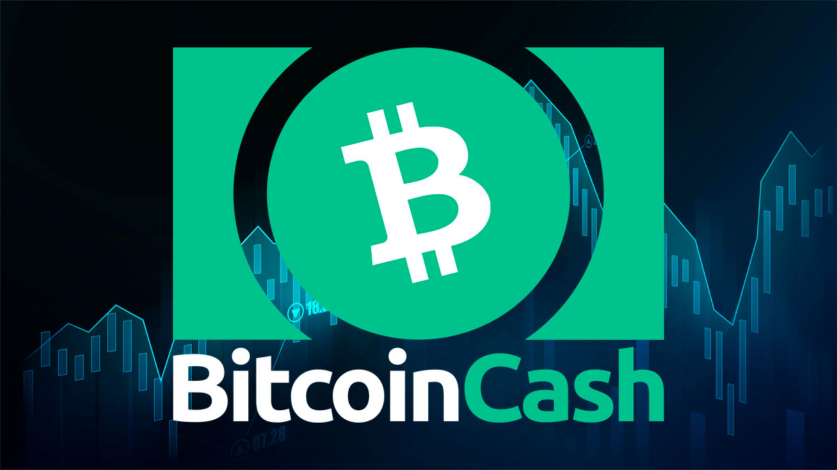 Bitcoin Cash Surges 40% in 2025, Crushing 10+ Major Layer-1 Rivals! - Trade  Brains Crypto