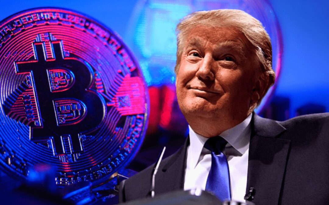 Trump’s Crypto Reserve Could Change Everything; Here Are the 5 Tokens Set to Benefit Most