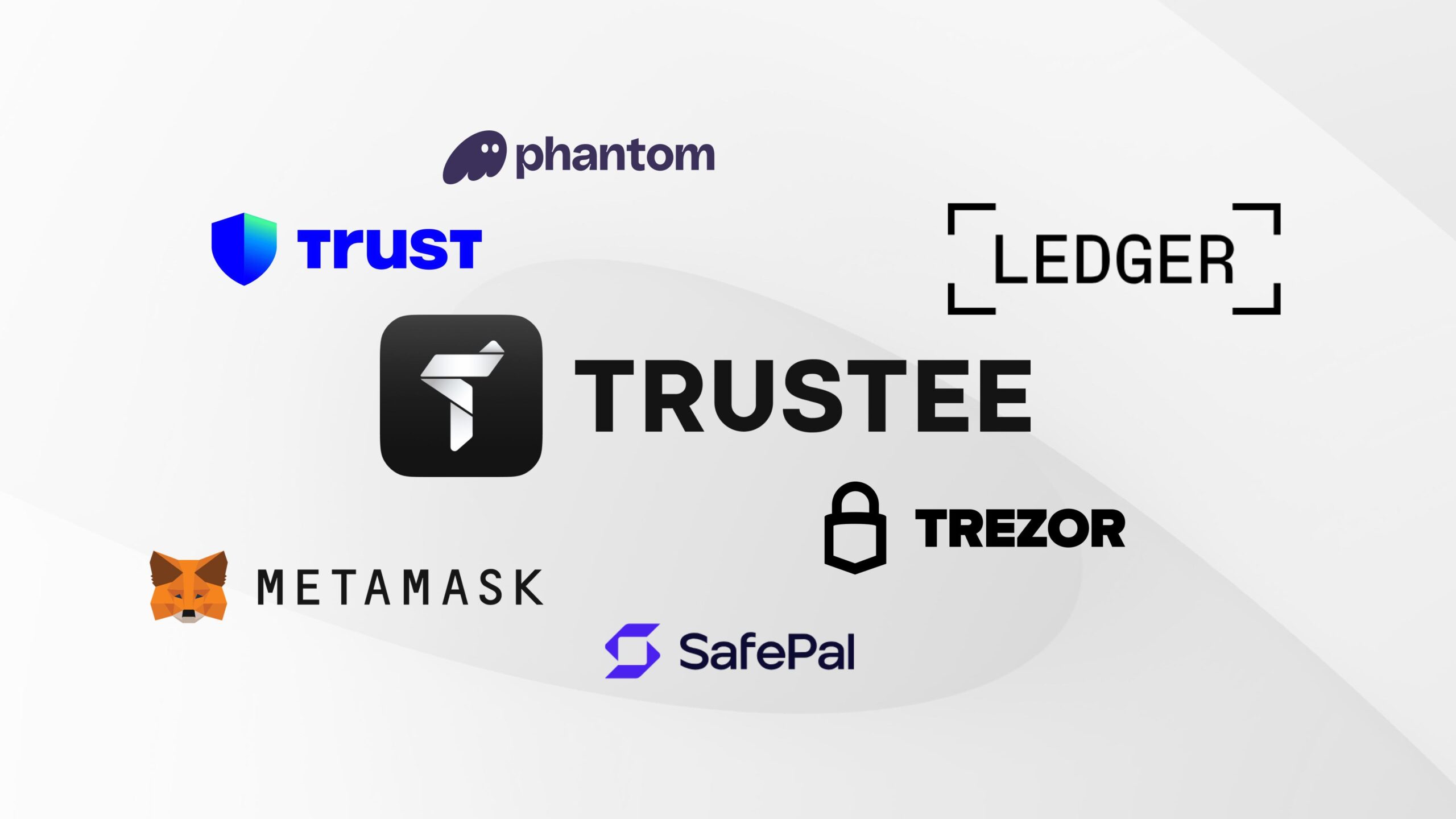 TOP 7 Crypto Wallets of 2026: How to Choose Your First Wallet Without  Losing Your Funds - Trade Brains Crypto