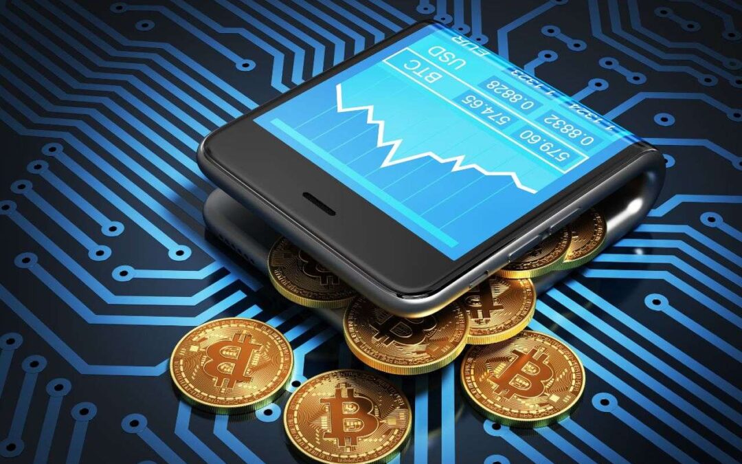 Cold Wallet vs Exchange Wallet: Where Should Investors Store Crypto?