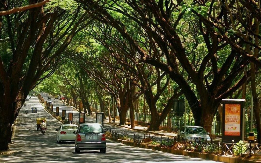 Case Study: Why Jayanagar Is Considered the Most Well-Planned Area in Bangalore