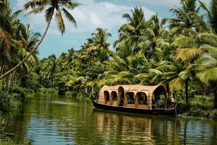 Kochi (Kerala) - Image