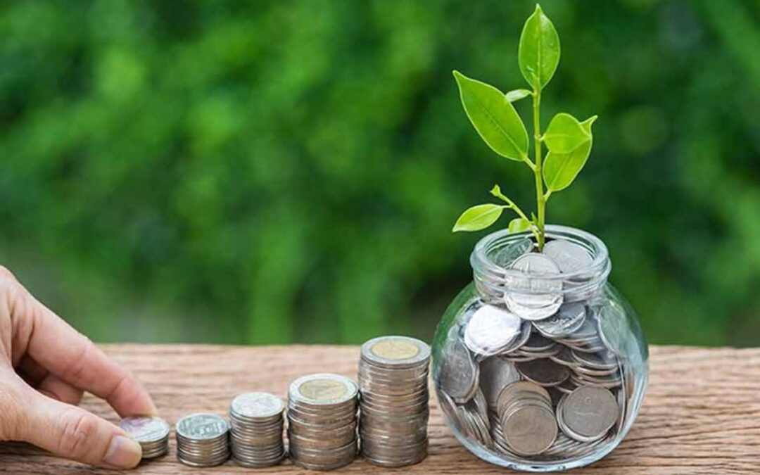 Top 10 Best-Performing Large Cap Mutual Funds with Highest AUM; Do You Hold Any?