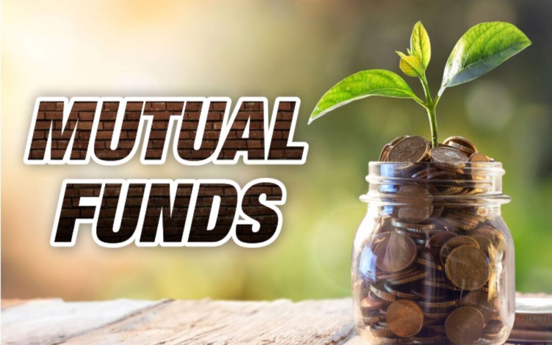 Quant Small Cap vs Nippon India Small Cap: See Which Fund Hit 33.34% in Just 5 Years
