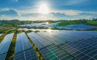 Top Solar Power Companies Investing in India (2025): See Which States are Benefiting the Most