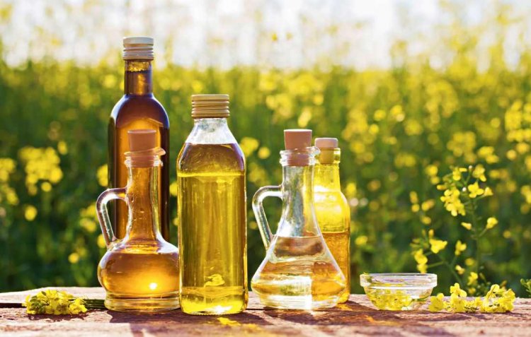 Edible oils - Image