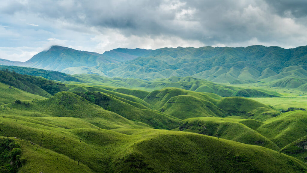 Image: Nagaland