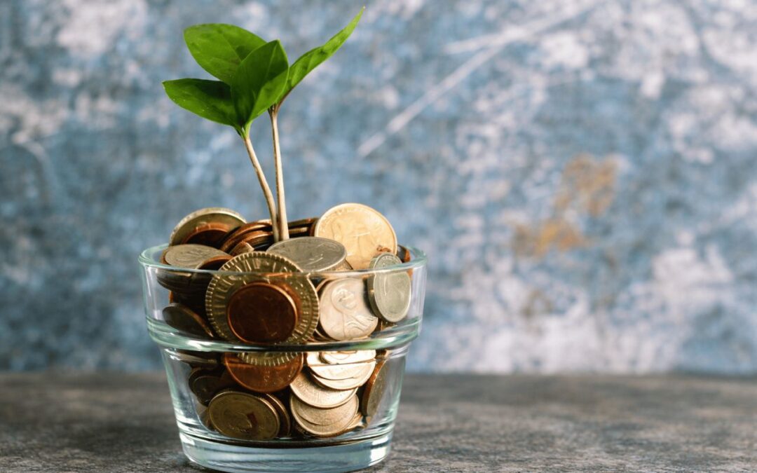 6 Unique Appreciating Assets That Could Grow Your Wealth Over Time – Tax Rules You Should Know