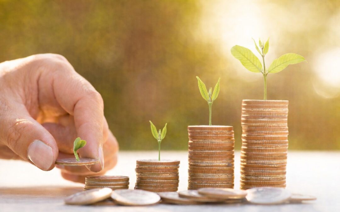 ICICI Value Fund vs SBI Contra Fund: Which Equity Mutual Fund Has Delivered Better 5-Year Returns?