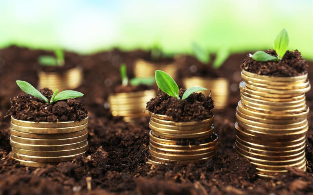 6 Smart Investment Opportunities to Grab When RBI Cuts Repo Rates