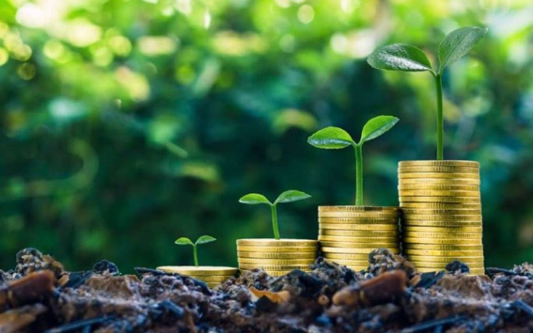 Top 5 Mutual Funds That Could Turn ₹30,000 Monthly SIP Into ₹1 Crore in 10 Years
