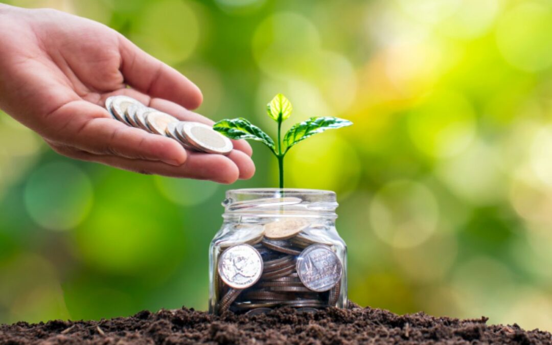 NSC vs Senior Citizens Savings Scheme (SCSS): Which Can Grow Your Retirement Corpus Faster?