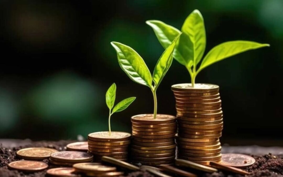 10 Top-Performing Small-cap Funds in April 2026: Do You Hold Any of These?