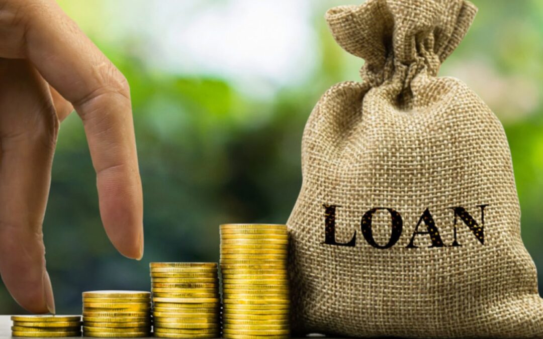 Loans