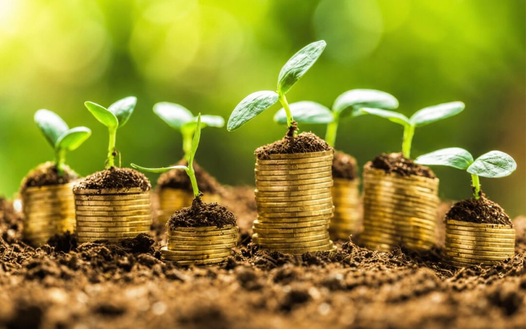investment in funds