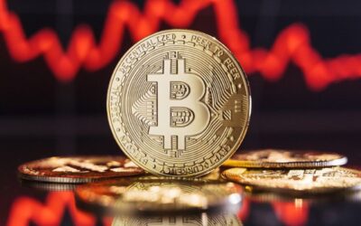 Bitcoin Drops Below ₹1 Crore: Is the Bear Market Here?