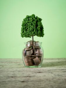 saving-money-growing-business-concepts_73344-2948