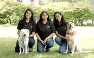 supertails_(1)-2021-11-12-16_57_13