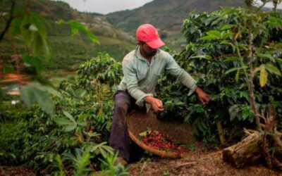XRP Ledger Breaks into Brazil’s Private Credit Sector with $130M in Agribusiness Tokenization