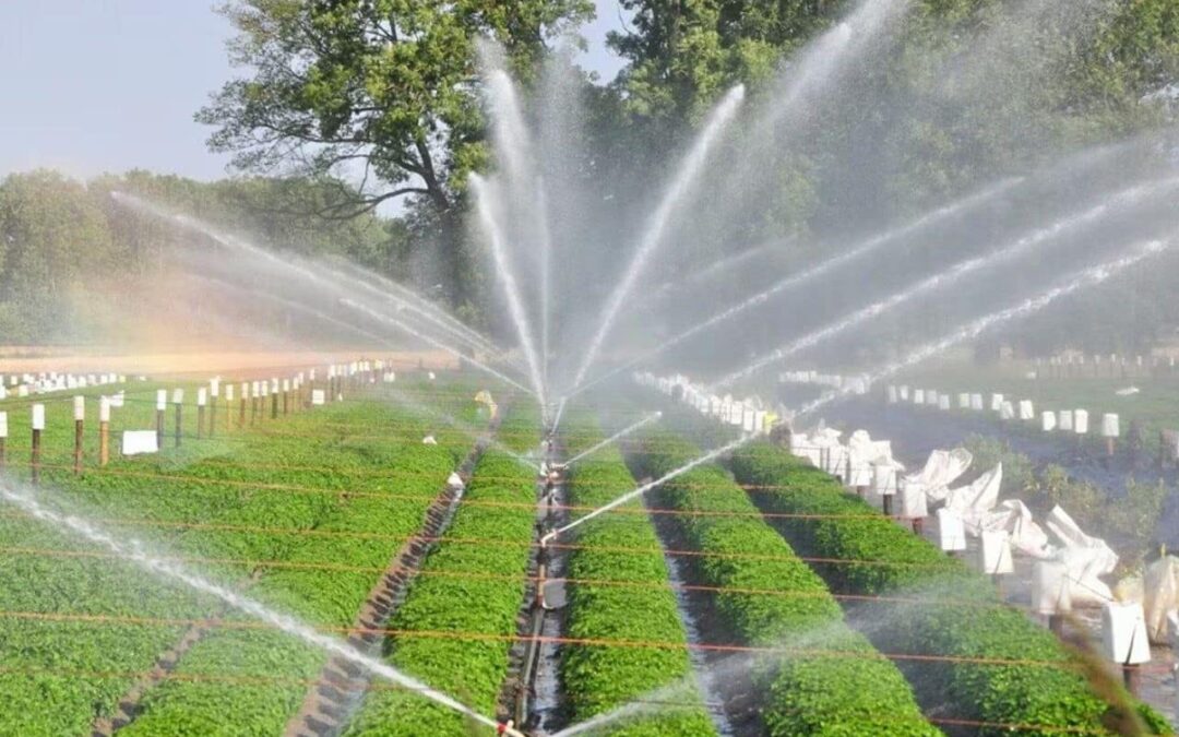 Water Management stock jumps 4% after receiving ₹183 Cr order for irrigation project