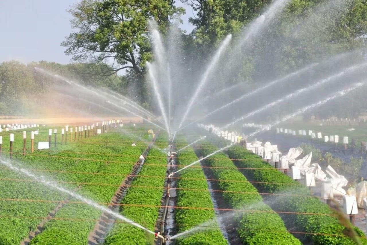 Water management stock under ₹50 in focus after receiving ₹135 Cr order from Maharashtra Govt