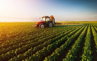 Bonus Shares: Agricultural stock skyrockets 15% after board to consider bonus issue