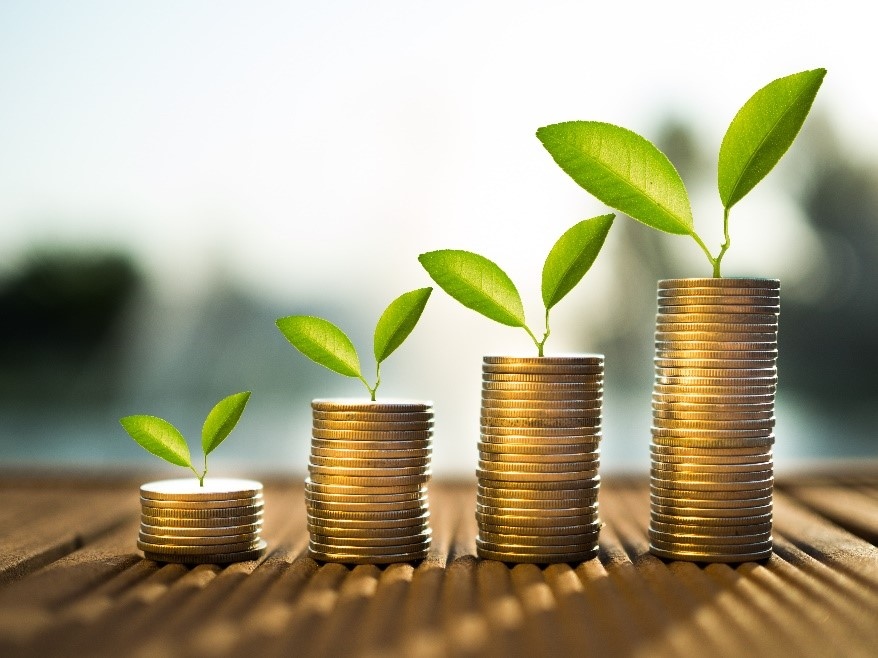 Importance of a Savings Account