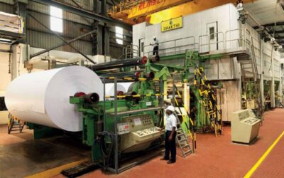 Why did Andhra Paper, JK Paper and 4 other stocks jump by almost 15% today?