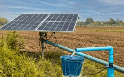 Solar pump stock jumps 6% after receiving ₹442 Cr order from Govt. of Maharashtra
