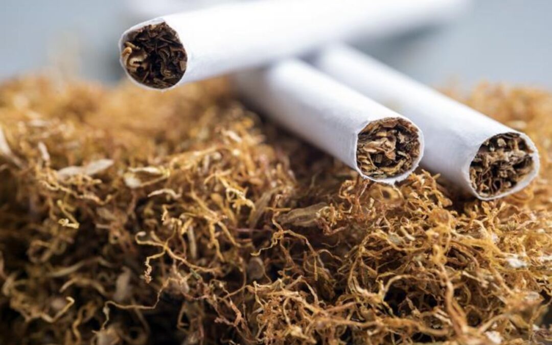 Godfrey vs Elitecon: Which Company Will Lead India’s Tobacco Industry?