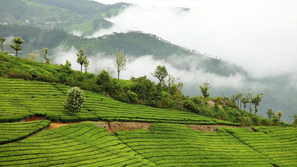 Location - Coonor, Tamil Nadu - Image