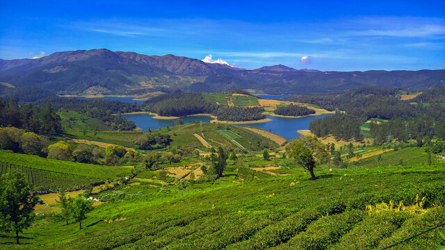 Ootacamund, Tamil Nadu - Image
