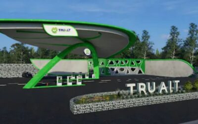 Trualt Bioenergy Ltd IPO: From GMP and issue details to financials; Here’s what you need to know