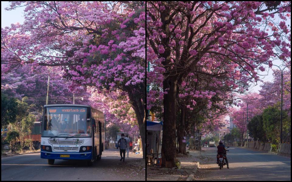 Bnagalore, Karnataka