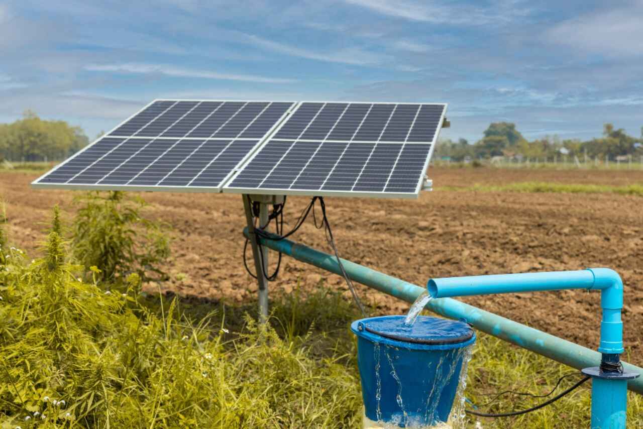 Market leader stock in focus after receiving order for solar PV pumping systems from MPUVNL