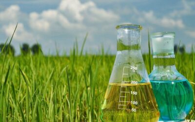 1:1 Bonus and 1:2 Stock Split: Chemical stock in focus after board approves bonus and split