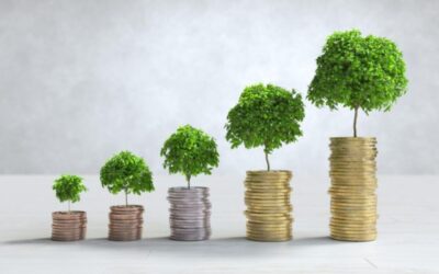 Top 10 Hybrid Funds Delivering Up to 243% Absolute Returns in 5 Years