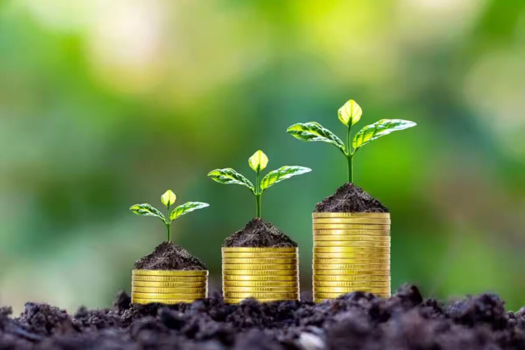 Top 10 Best-Performing Large Cap Mutual Funds with Highest AUM; Do You Hold Any?
