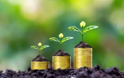 Top 10 Best Performing Small Cap Mutual Funds in India Delivering Upto 37.5% Returns