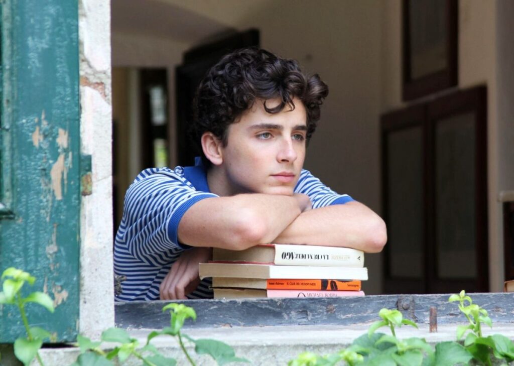 Top 5 Timothée Chalamet Movies That Show Off His Incredible Range