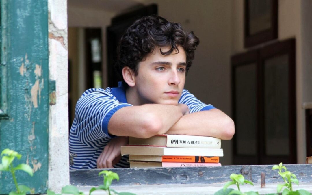 Top 5 Timothée Chalamet Movies That Show Off His Incredible Range