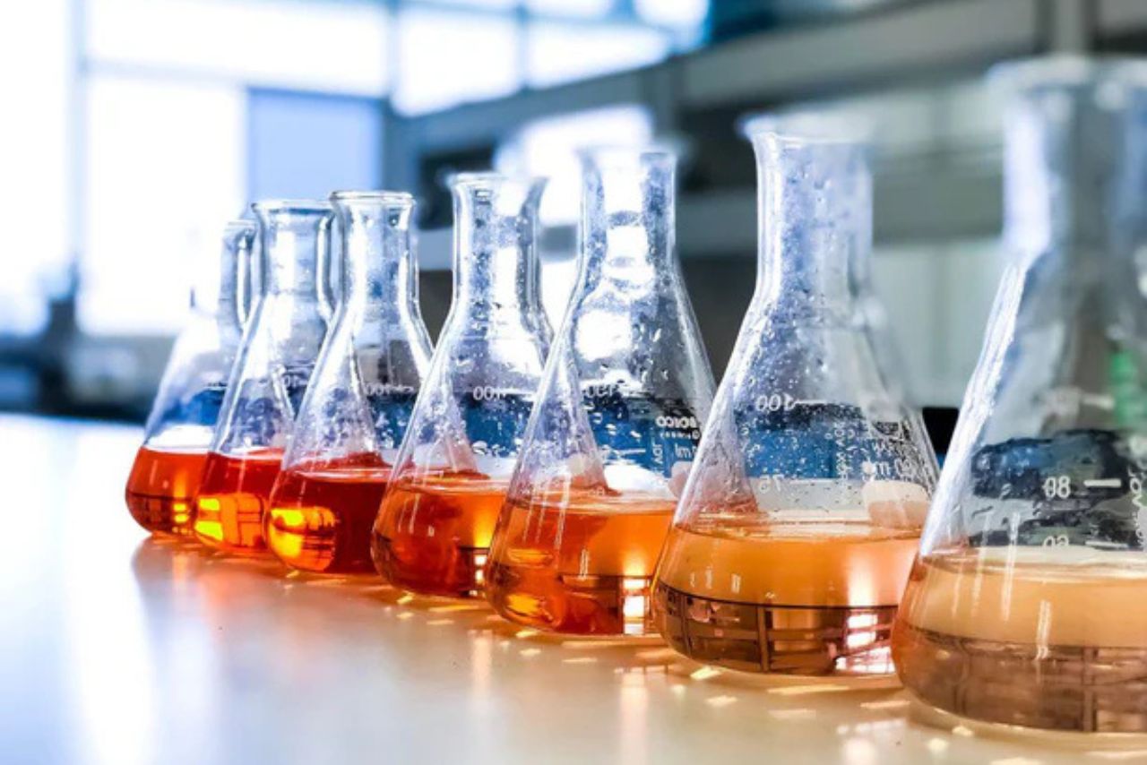 How has Navin Fluorine International stock outperformed the chemical sector? How has Navin Fluorine International stock outperformed the chemical sector?